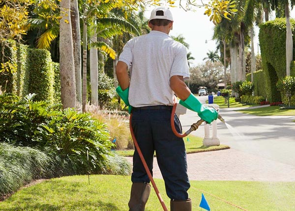About Santa Clara UT Pest Control